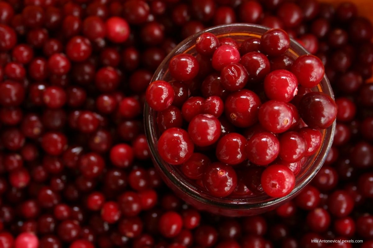 Melatonin Cranberries