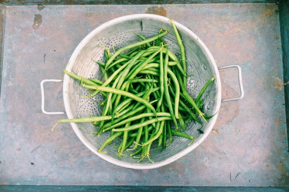 Sommerrezept Putengeschnetzeltes