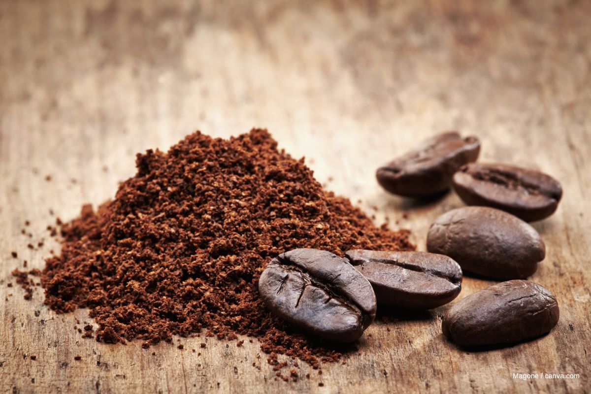 Koffein