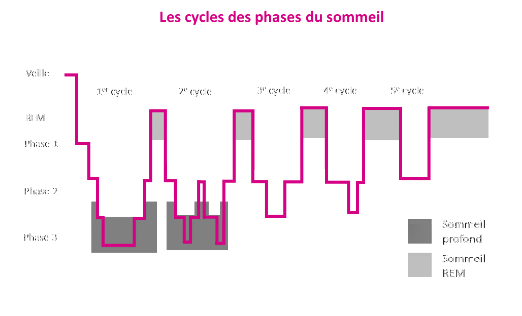 Combien de temps dure un cycle de sommeil ? – Blanc Cerise