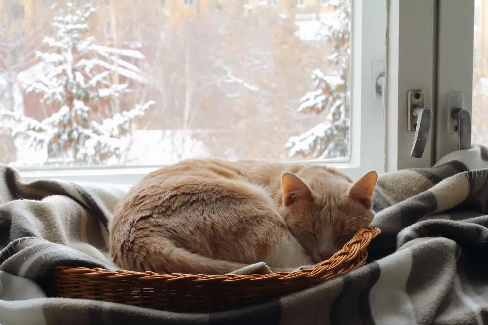 Quelques astuces pour bien dormir en hiver