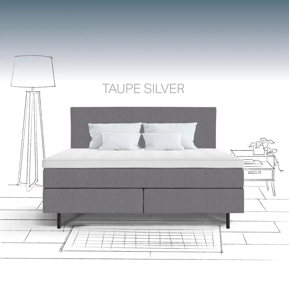 taupe silver