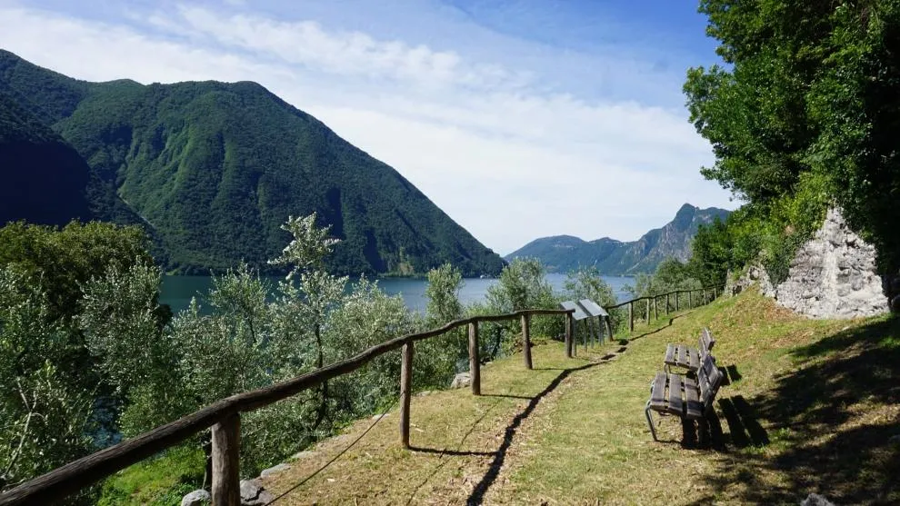 Le sentier des oliviers