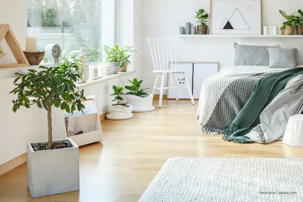 plantes dans la chambre à coucher